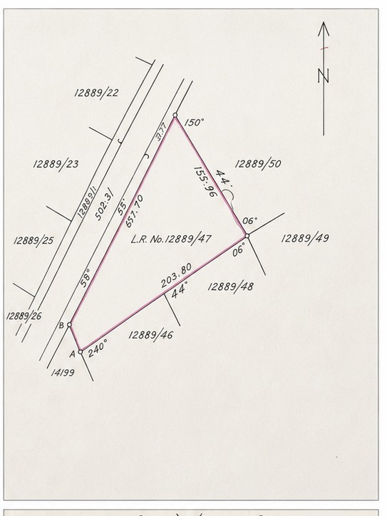 Survey plan preview for L.R. No. 12889/47